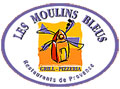 Franchise Restauration pizza Franchise LES MOULINS BLEUS